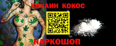 спиды Гай