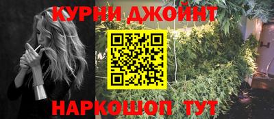 спиды Гай