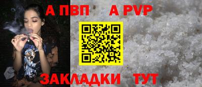 спиды Гай