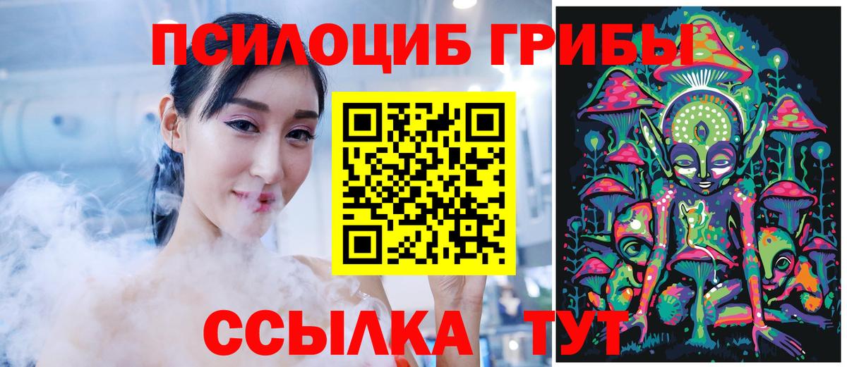 Псилоцибиновые грибы Magic Shrooms  Вход с VPN  Кизляр  Псилоцибиновые грибы прущие грибы 