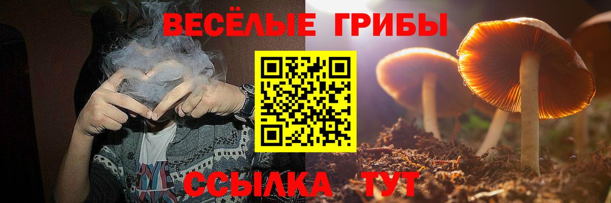 Псилоцибиновые грибы MAGIC MUSHROOMS Кизляр